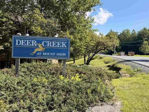 Other - 8 Deer Crk #E, Dover, VT 05356 photo 8 of 8