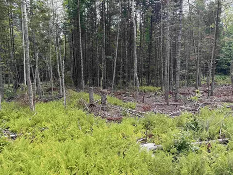 lot58 Pond Hill Rd, Lunenburg, VT 05906 photo 7
