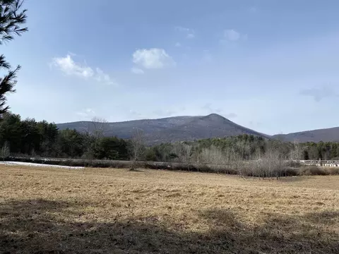 01 Old Depot Rd, Arlington, VT 05250