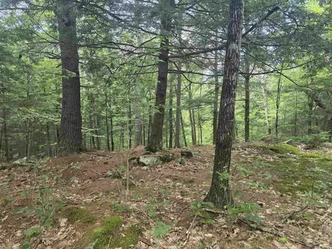 37 Shady Ln, Tilton, NH 03276 photo 18