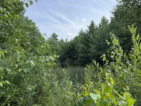 00 Parkey Rd, Barnstead, NH 03218 photo 11