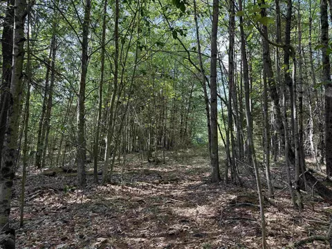 00 Parkey Rd, Barnstead, NH 03218 photo 8
