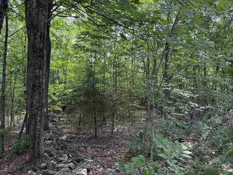 00 Parkey Rd, Barnstead, NH 03218 photo 9