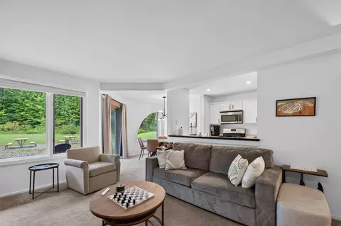 Living - 2 Carinthia Rd # M, Dover, VT 05356 photo 4 of 4
