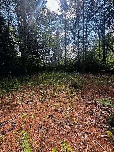 tbd Birch Hill Rd, New Durham, NH 03855