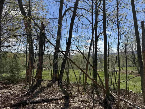 2527 Bent Hill Rd, Braintree, VT 05060