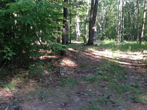 29 Stoneview Rd, Ossipee, NH 03864 photo 4