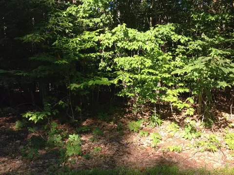 29 Stoneview Rd, Ossipee, NH 03864 photo 8