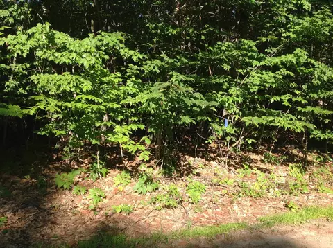 29 Stoneview Rd, Ossipee, NH 03864 photo 7