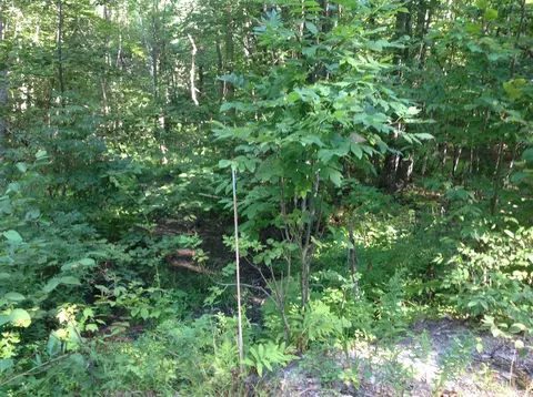 29 Stoneview Rd, Ossipee, NH 03864 photo 5