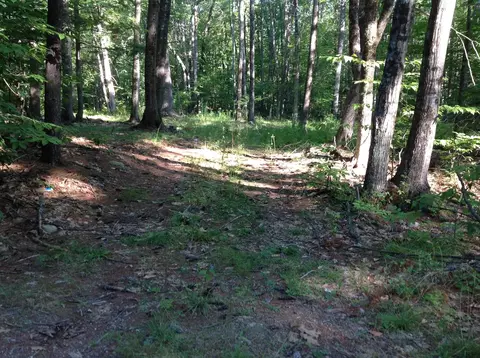 29 Stoneview Rd, Ossipee, NH 03864 photo 3