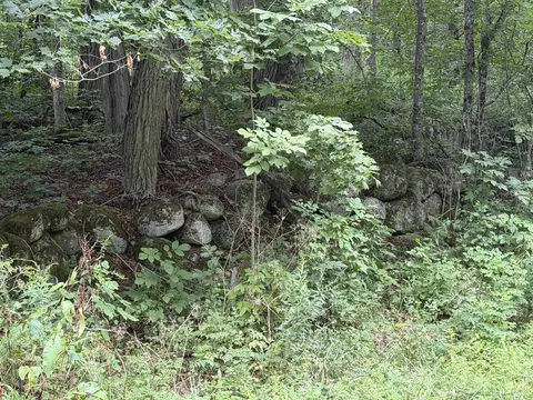 700 Taplin Hill Rd, Corinth, VT 05039 photo 2