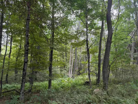 700 Taplin Hill Rd, Corinth, VT 05039 photo 7
