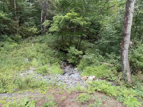 700 Taplin Hill Rd, Corinth, VT 05039 photo 4