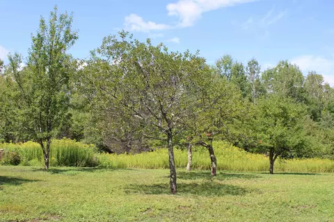 74 Foster Hill Rd, Bath, NH 03740 photo 17