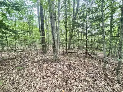 55-10 Longwood Dr, Greenfield, NH 03047