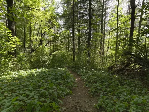 Other - 280 Bunker Hill Cir, Plainfield, VT 05667 photo 13 of 16