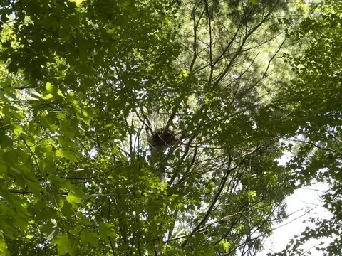 Other - 280 Bunker Hill Cir, Plainfield, VT 05667 photo 15 of 16