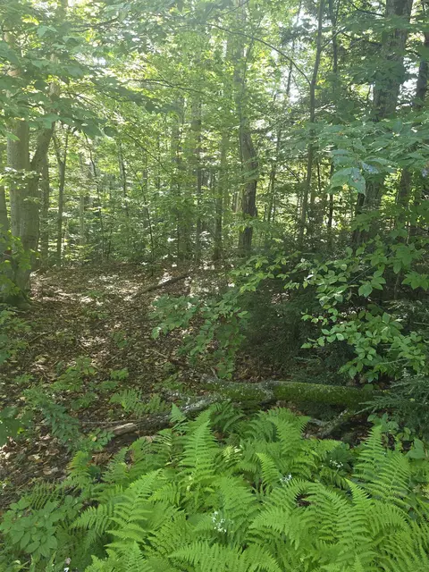 00 Allard Farm Circuit, Conway, NH 03860