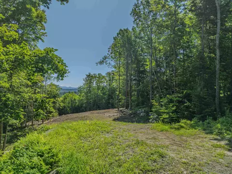 92-29 Birchcroft Dr, Littleton, NH 03561