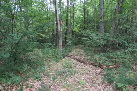 00 Mill St, Haverhill, NH 03785