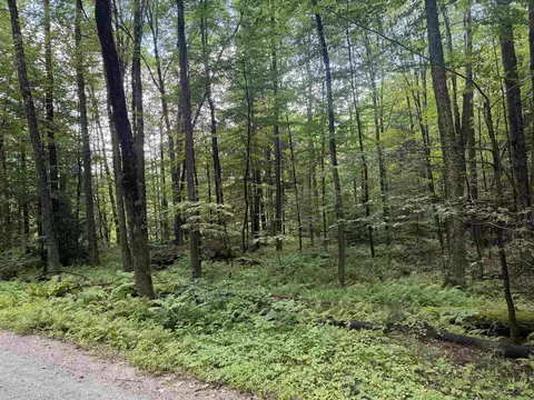 Anderson Road, Grafton, VT 05146