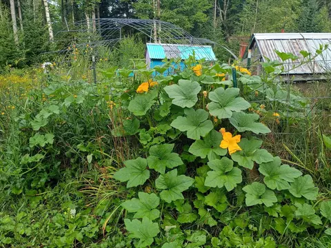 Other - 115 Smith Rd, Orange, VT 05641 photo 2 of 16