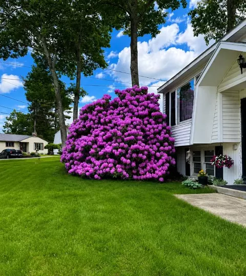 8 Radcliffe Dr, Nashua, NH 03062