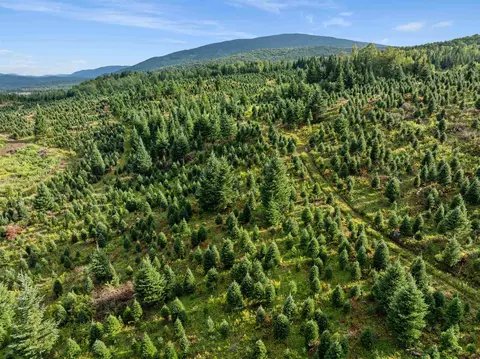- Capon Brook Road, Canaan, VT 05903 photo 30