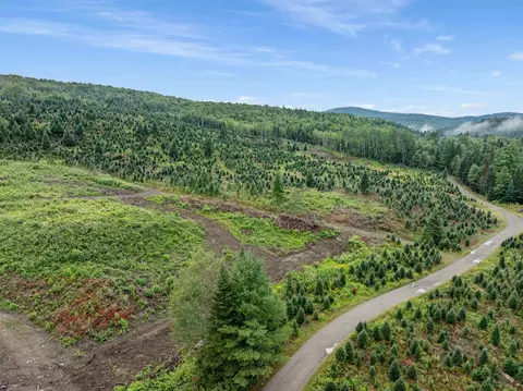 - Capon Brook Road, Canaan, VT 05903 photo 7