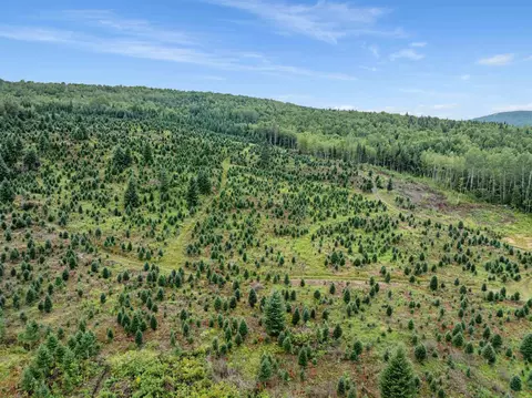 - Capon Brook Road, Canaan, VT 05903 photo 8