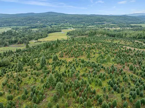 - Capon Brook Road, Canaan, VT 05903 photo 17