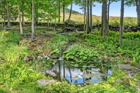 Exterior - 56 Johnson Rd, Warren, VT 05674 photo 6 of 21