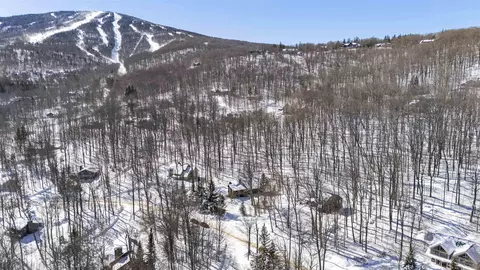 View/Area - 11 Round Tree Rd, Winhall, VT 05340 photo 1 of 1