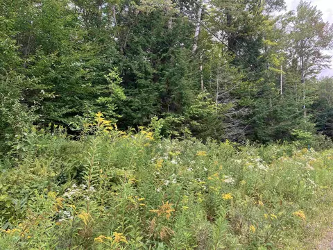 925 Porcupine Ln #M-925, Wilmington, VT 05363