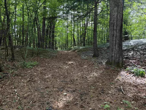 40 E Putney Brook Rd #BIG PINE, Putney, VT 05346 photo 2