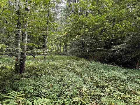 40 E Putney Brook Rd #BIG PINE, Putney, VT 05346 photo 7