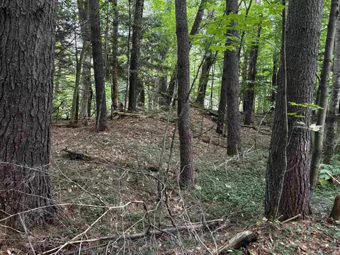40 E Putney Brook Rd #BIG PINE, Putney, VT 05346 photo 9