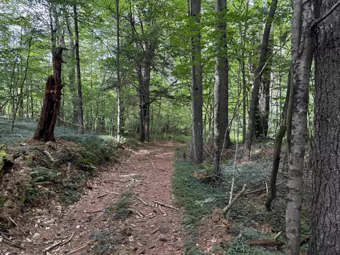 40 E Putney Brook Rd #BIG PINE, Putney, VT 05346 photo 13