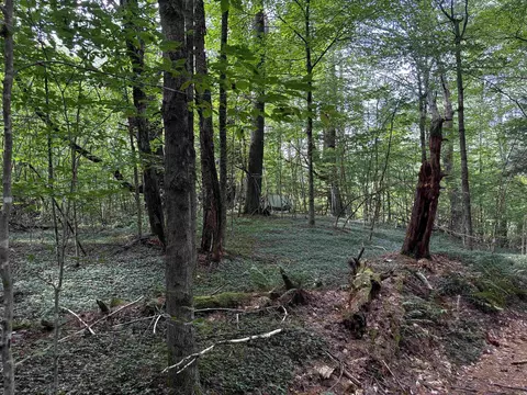 40 E Putney Brook Rd #BIG PINE, Putney, VT 05346 photo 3