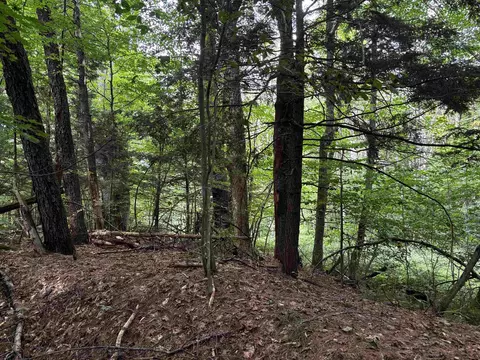 40 E Putney Brook Rd #BIG PINE, Putney, VT 05346 photo 4