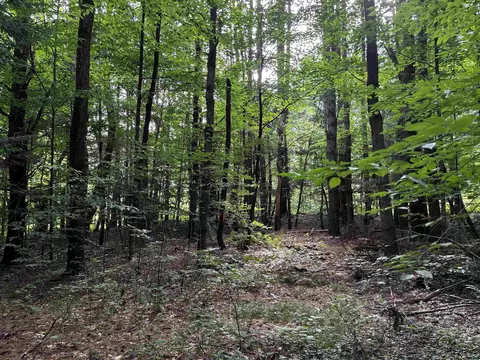 40 E Putney Brook Rd #BIG PINE, Putney, VT 05346 photo 10