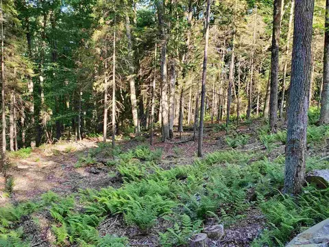 4 Murdock Ln, Whitingham, VT 05361 photo 7