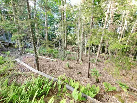 4 Murdock Ln, Whitingham, VT 05361 photo 8