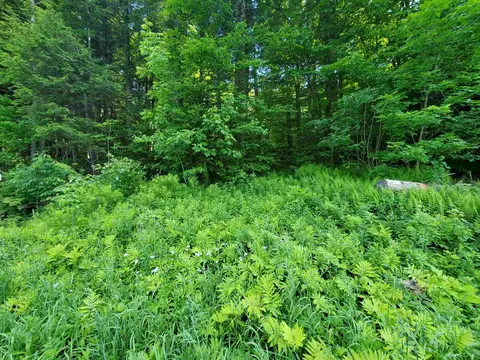 4 Murdock Ln, Whitingham, VT 05361 photo 10