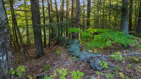 0 Shaker Rd, Sutton, NH 03260 photo 19