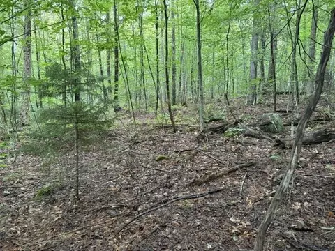 0 Under The Mountain Rd, Londonderry, VT 05155