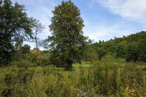 Exterior - 1268 County Rd, Windsor, VT 05089 photo 5 of 6