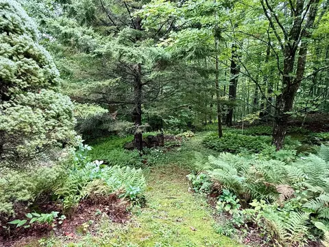 Exterior - 756 Birch Hill Rd, Windham, VT 05359 photo 6 of 21