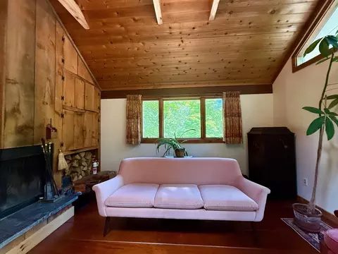 Living - 756 Birch Hill Rd, Windham, VT 05359 photo 5 of 6